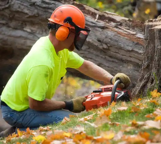 tree services Wyandotte